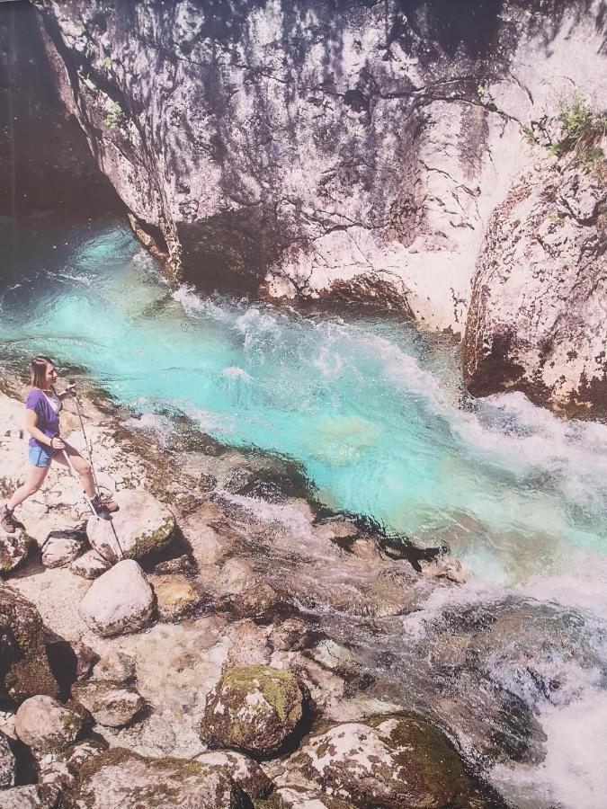 Apartma Tanja -Kamnik Dış mekan fotoğraf