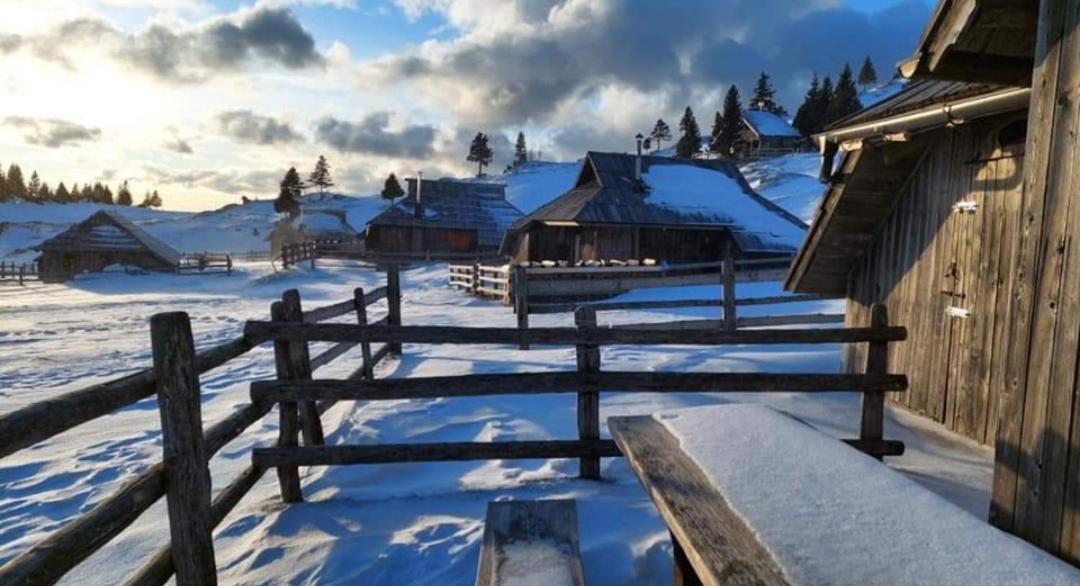 Apartma Tanja -Kamnik Dış mekan fotoğraf