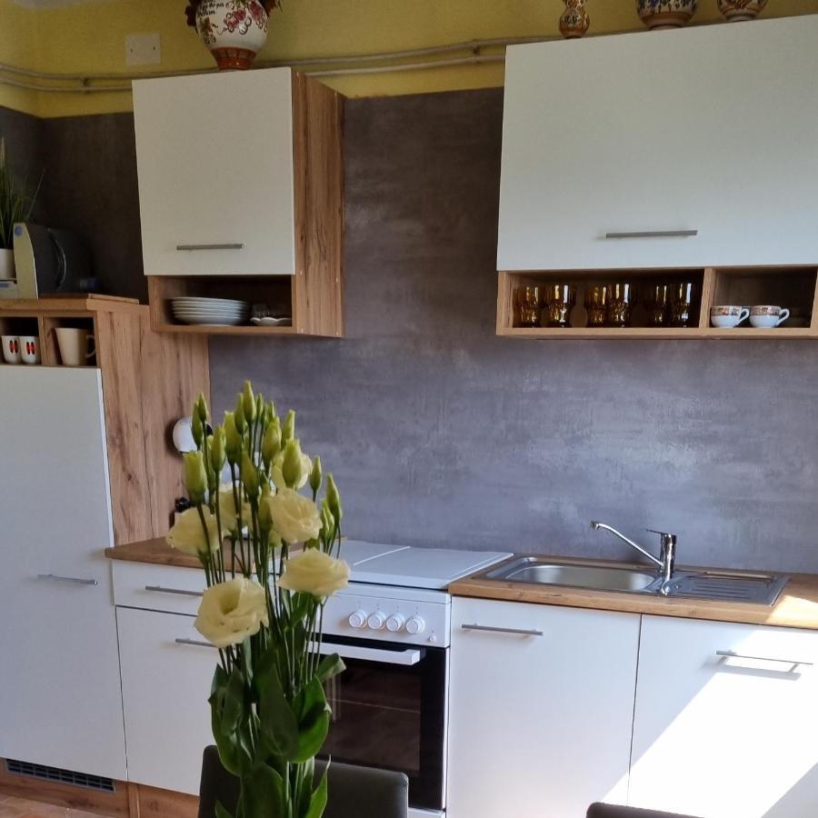 Apartma Tanja -Kamnik Dış mekan fotoğraf