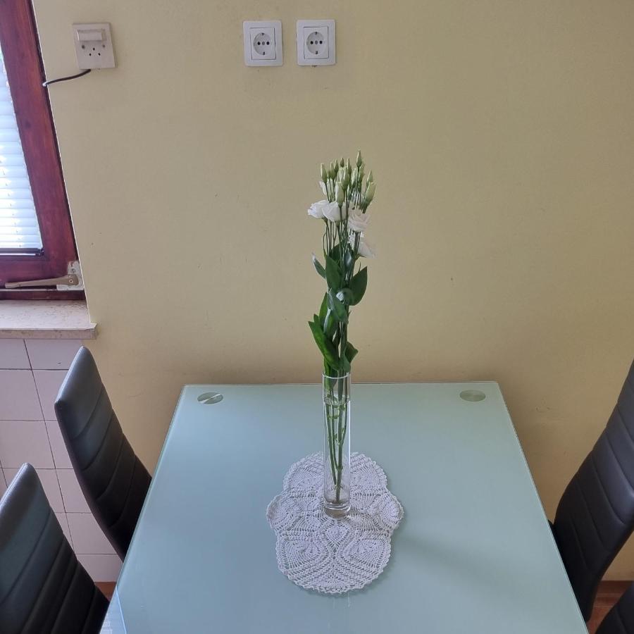 Apartma Tanja -Kamnik Dış mekan fotoğraf